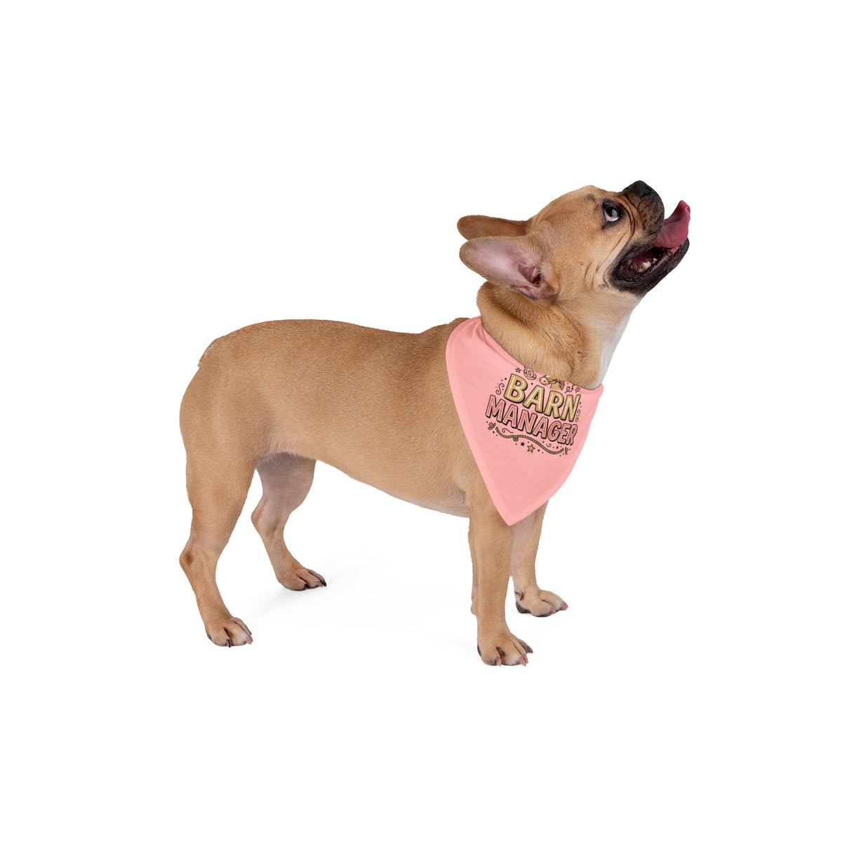 Barn Manager Pet Bandana