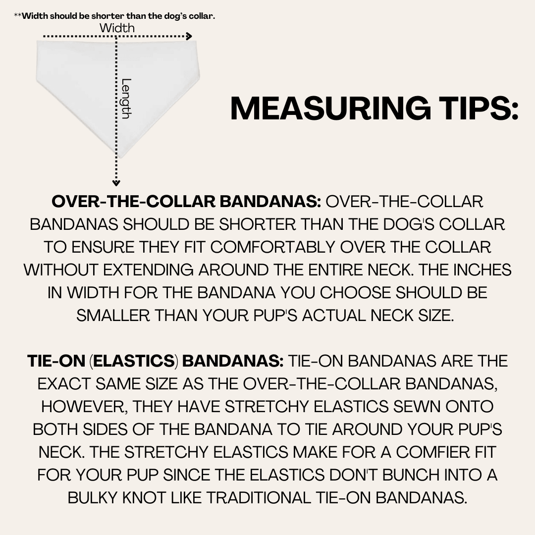 Carrot Patch Dog Bandana - The Other Equestrian