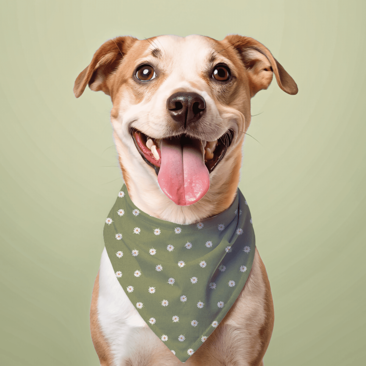 Daisy Dog Bandana - The Other Equestrian
