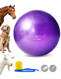 Harrison Howard Mega Horse Play Ball Anti-Burst Giant Horse Ball Horse Soccer Ball 25 Inch-Purple - The Other Equestrian