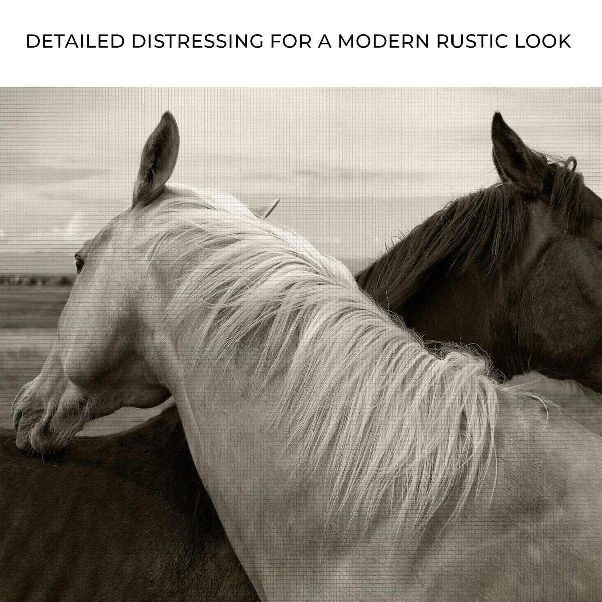 Monochrome Couple Horse Canvas Wall Art - The Other Equestrian