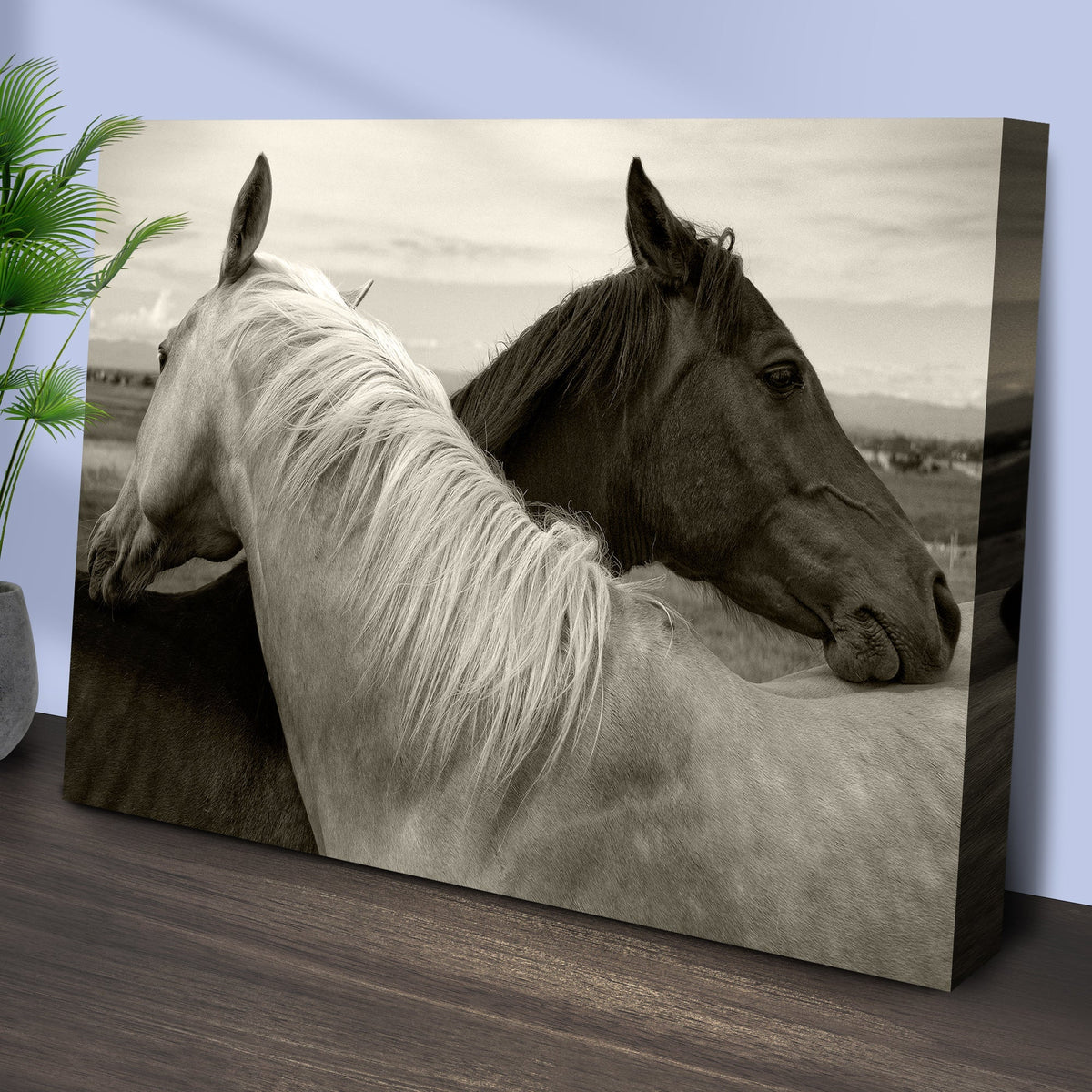 Monochrome Couple Horse Canvas Wall Art - The Other Equestrian